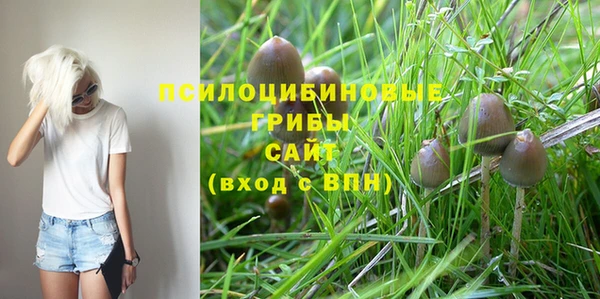 ECSTASY Аркадак