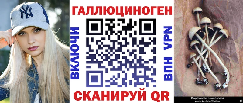 Галлюциногенные грибы Magic Shrooms  Короча 